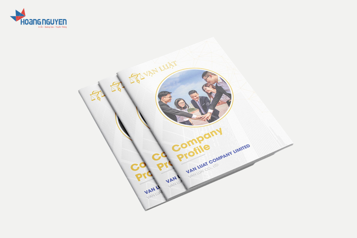 Mẫu in profile công ty Vạn Luật