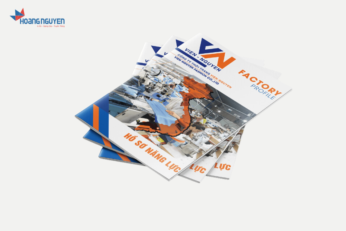 Mẫu in hồ sơ năng lực công ty Vien - Nguyen