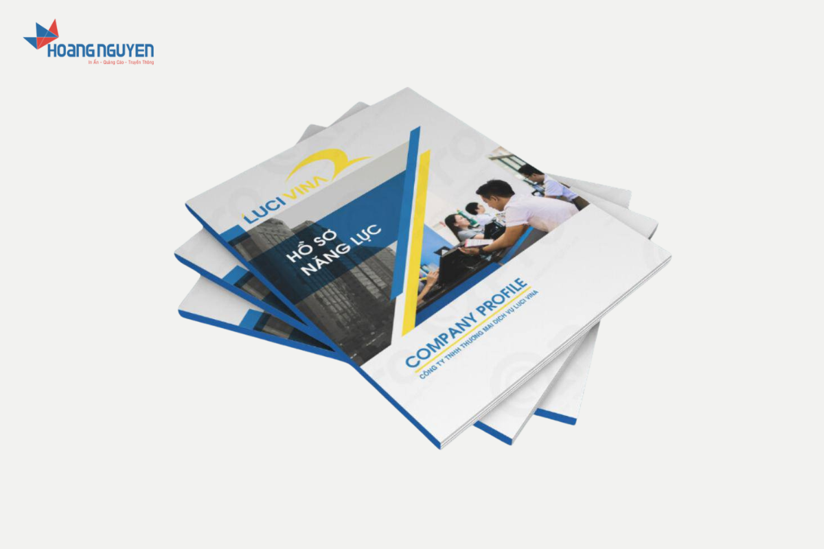 Mẫu in hồ sơ năng lực công ty luci vina